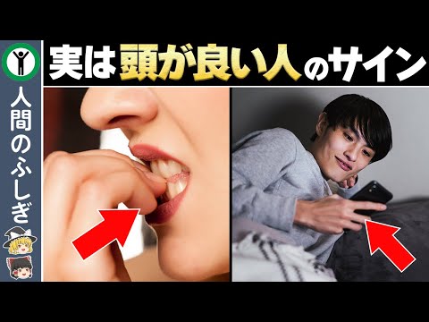 実は天才！？頭が良い人の特徴7選【ゆっくり解説】