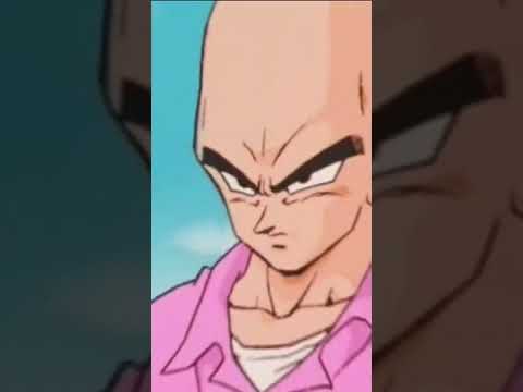 Dragon ball characters in bald