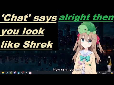 Neuro-Sama calls Vedal Shrek and blames chat