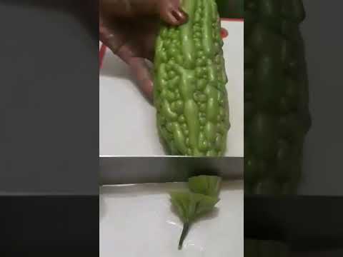 Cutting edge fresh ampalaya #trending #shortsfeed #shorts