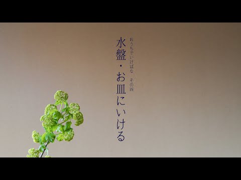 水盤・お皿にいける｜「おうちでいけばな」その4