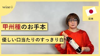 【甲州種のお手本 優しい口当たりのすっきり白】Cfa バックヤード・ワイナリー  オープニング・アクト 甲州　(日本)