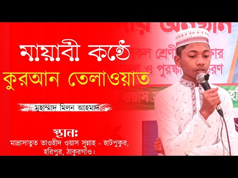 মায়াবী কন্ঠে কুরআন তেলাওয়াত! #কুরআন #কুরআন_তিলাওয়াত #qurantilawat #quran #islamicvideo #قرآن