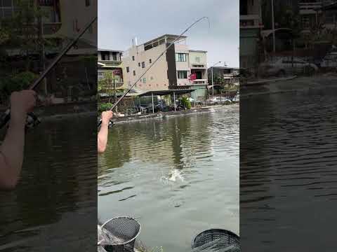 想要釣到大魚 就要找池子夠大