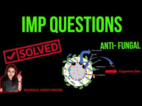 Antifungal Drugs Pharmacology Solved Questions | Amphotericin B, Ketoconazole