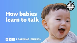 How babies learn to talk ⏲️ 6 Minute English