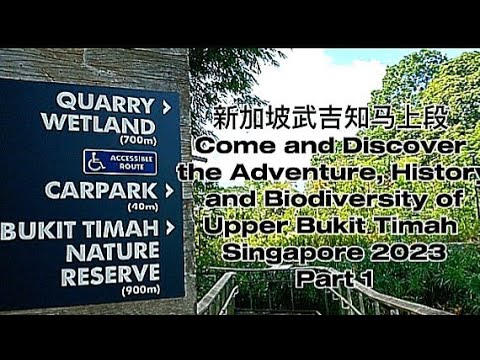 新加坡武吉知马上段 Come and Discover Upper Bukit Timah Singapore 2023 Part 1