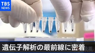 コロナウイルス 国内で変異か、遺伝子解析の最前線に密着