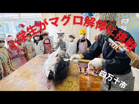 小学生がマグロ解体！学校に魚屋さんがやって来た(四万十市)