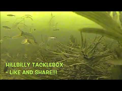 HillBilly ToolBox Bait-fishing for Squawfish- the HillBilly TackleBox Way