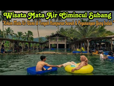 Wisata Mata Air Cimincul Subang | Kolam Mata Air Alami di tengah Hamparan Sawah yang Indah