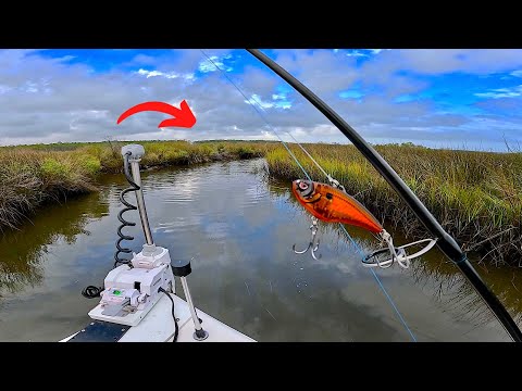 So...You Want to Catch RED DRUM using only LURES? Watch THIS! [Simple & Easy Fishing]