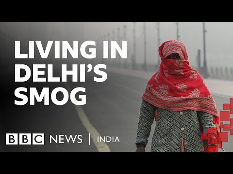 Delhi’s air pollution: ‘Where should we go?’ ask the underprivileged | BBC News India #delhismog