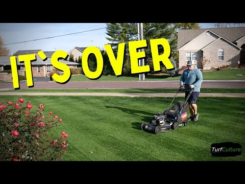 Prep Your Lawn for Fall and Winter // End of Season Lawn Care Steps // Bermuda Gone!