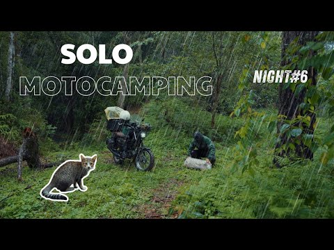 Solo Moto Camping/ Camping With Cat/ Camping In The Rain Eps.6