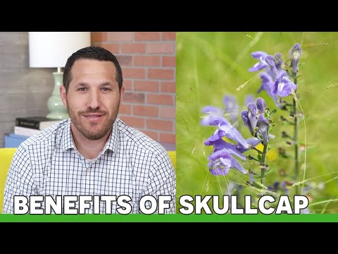 The Benefits of Skullcap