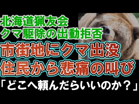 北海道猟友会が苦渋の決断。駆除要請の拒否を全道７１支部に通知。市街地にクマ出没する中、住民から悲痛の叫び「どこへ頼んだらいいのか？」