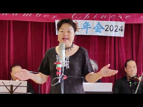 月亮代表我的心-活力之声小乐队演奏