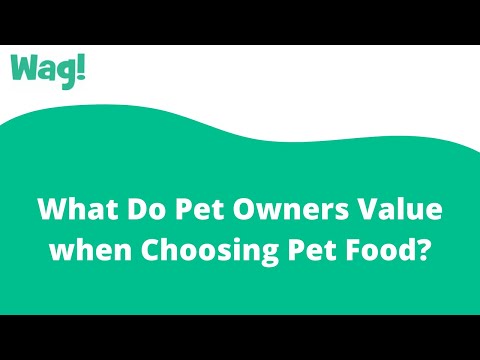 What Do Pet Owners Value when Choosing Pet Food? | Wag!