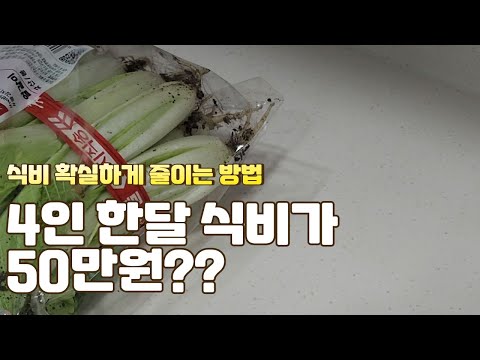 식비를 확 줄이는 확실한 방법 3가지 | 1년에 5천만원 모아보자 | 짠테크 식비절약 장보기 간식 가계부 절약 4인가족 영유아 주부 맞벌이 워킹맘