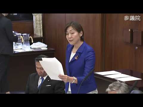 水野素子　2023年11月9日　参議院・外防委員会