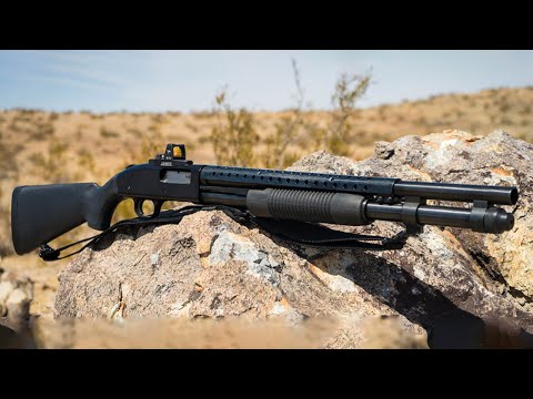 TOP 10 Best Cheap Shotguns in 2022