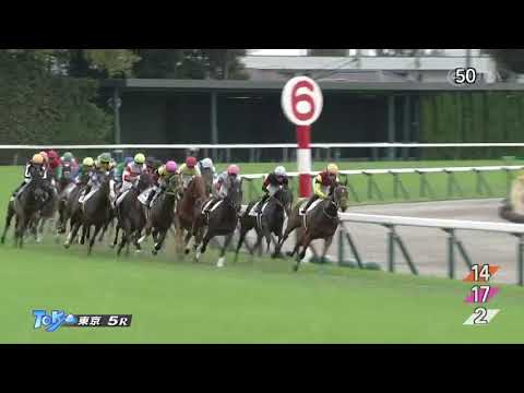 2022/10/16　シェーンプリマー　新馬戦