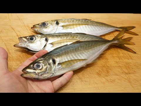 アジのさばき方と昆布締めの作り方　How to  horse mackerel  kombu-jime