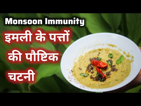 इमली के कोमल पत्तियों की चटनी बनाने का तरीका/Monsoon Special Recipe for Immunity/Tamrind leaf recipe