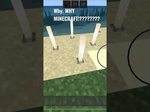 WHAT IS THIS MINECRAFT?!!!!!