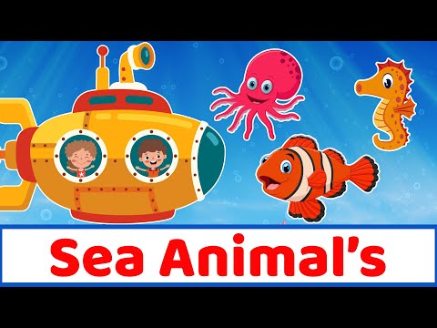 Learn Sea Animal Names - Sea Animals - Ocean Animal Videos - Educational video for kids