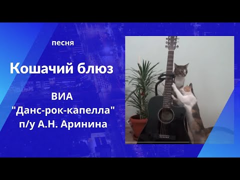 "Кошачий блюз" - ВИА "Данс-рок-капелла п/у А.Н. Аринина"