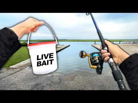 Eating Whatever I Catch.. Fishing a NEW Boat Ramp (Catch and Cook)