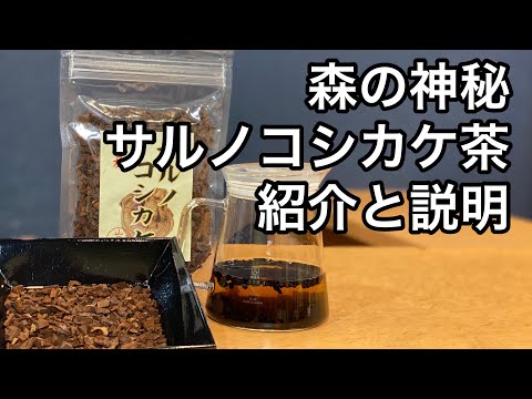 美味しい健康茶の淹れ方　サルノコシカケ茶編　How to brew delicious healthy tea: Sarnokoshikakecha