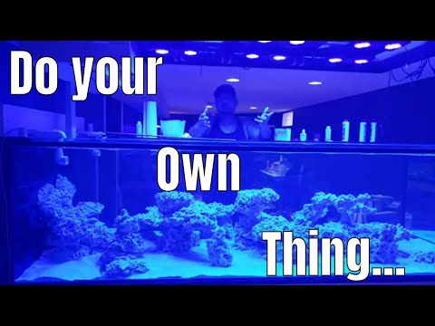 Cycling aquarium with lights on or off