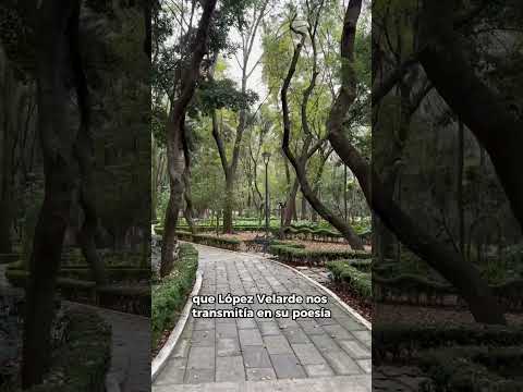 Jardín Ramón López Velarde en la CDMX