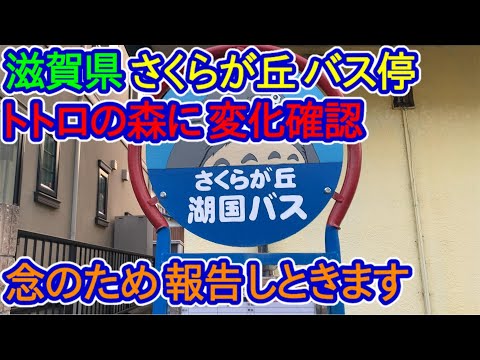 【滋賀県】「トトロの森」（米原市）近況現状報告