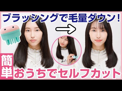 Hair cut Monster（ヘアモン）かんたんヘアカットブラシHowTo動画　　　　　　　　おうちセルフヘアカット編（女性）