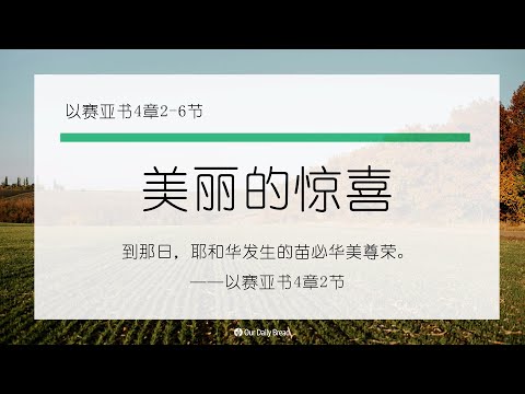 10月30日《灵命日粮》文章视频-美丽的惊喜