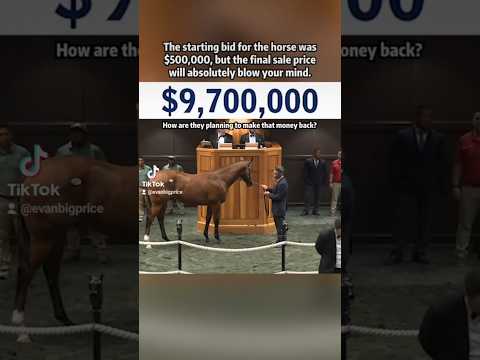 This Horse sold for how much?!