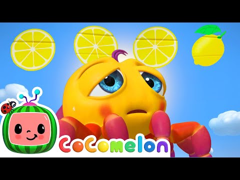 How to Make Lemonade? 🍋 | Itsy Bitsy Spider | CoComelon Kids Songs & Nursery Rhymes