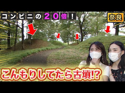 【奈良】鹿と大仏だけじゃない！古墳もあるで！【2021年10月28日 放送】