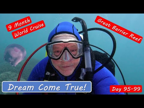 Great Barrier Reef Cairns Australia Snorkeling and Diving