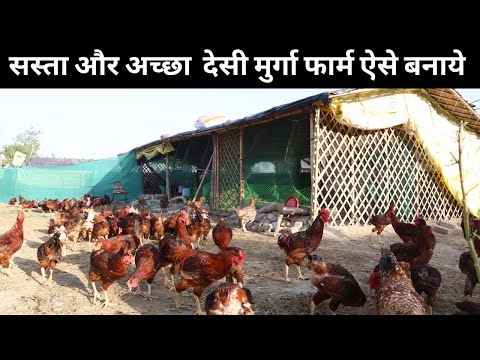 0 बजट में बना डाला देसी मुर्गा फार्म II desi murga farm II Poulter farm@@@Indianfarmingtechnology