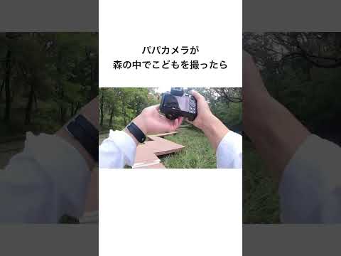 パパカメラが森の中でこどもを撮ったら #shorts