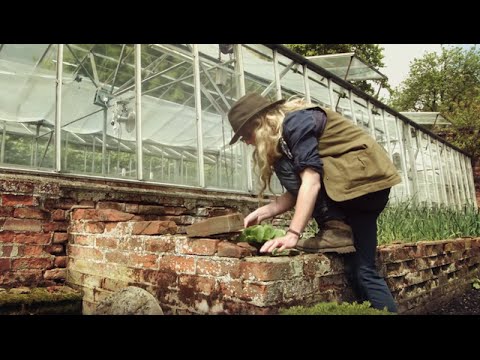 Brent Eleigh & Novikov - Farming for Fine Dining