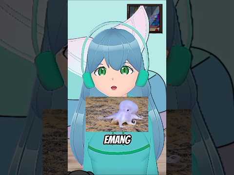 Ini gurita tapi ko kecil ya? Kira-kira ini hewan apa? #edukasi #vtuber #vtuberindonesia #animasi