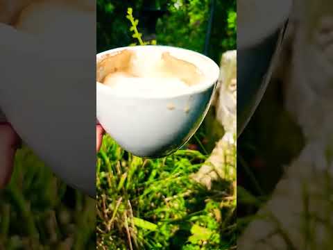 Coffee ☕️  by the fishpond #coffee #fishpond #garden #shorts