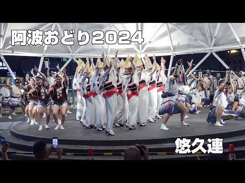 阿波おどり2024　アミコドーム　悠久連