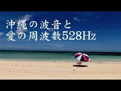 2 - ハワイの禅 - 海の音を緩和するとのWAVESのDVDネイチャービデオ